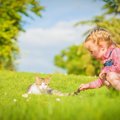 猫が心を開いてきた時にする６つの仕草