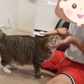 元ボス猫、子猫たちが旅立って寂しそうだと思っていたら…『まさかすぎ…