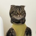 『パワーショルダー…？』猫が術後服を着た結果→衝撃的すぎる姿に"大…