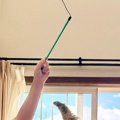 家に来て3日目の子猫→おもちゃで遊んでいるところを撮ったら…幸せあふれる…