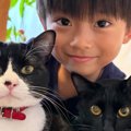 猫たちと並んだ『5歳の男の子』→見比べてみると…思わず二度見する『そ…