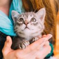 猫が飼い主さんの『体調不良を察知する』と思われている4つの理由　気遣っ…