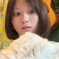 パソコン作業中、近くにいた愛猫→何度も『猫吸い』をしていると…笑ってし…