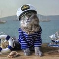 南極探検に参加し、運命の波に揉まれた猫　みなに愛された彼と飼い主…