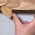 米袋を使用してネコと遊んでみたら…天才的に可愛すぎる『素敵な発想』…