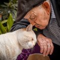 愛猫との『絆を深める』ために取り入れたいこと4つ　心の距離が縮まる理由…