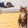 床に寝転ぶ赤ちゃん→近くにいた猫が見つめてきて…想像以上に『不満を…