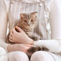 猫を育てるには心の余裕が必要！一緒に暮らす6つの心得