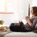 猫と人間の『生活リズムがズレている』ときの対処法4つ　崩さないためのコ…