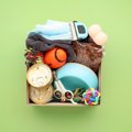 困っている猫たちのための『寄付』お金、物品…協力する際に気をつけた…