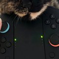 ゲームのプレイ中に『猫』がやって来て…中断せざるを得ない『可愛すぎ…