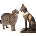 「うちの猫は、もしかしたら古代エジプト貴族猫の末裔？」DNA分析で関…