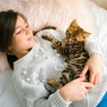 猫が『一緒に寝てくれない』4つのワケ　猫も好き好き…無理強いはNG！