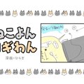 ねこよんコギわん【第30話】「やっぱりコレが好き」