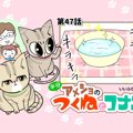 半分アメショのつくねとコナン【第47話】「器のお水」