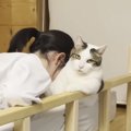 猫が『疲れてしまった娘』にとった行動…思わぬ方法で『癒やす様子』が…