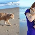 21歳で捨てられた老猫…新たな家族のもとで幸せに！