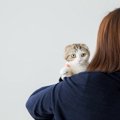 猫に死んだふりをしたら飼い主を助けてくれる？実際の反応や気持ち