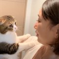 猫が久しぶりに帰ってきたママに…『感情が爆発してしまう様子』が可愛すぎ…