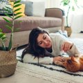 猫の『分離不安症』が疑われる症状7つ　放置すべきでない理由や飼い主が取…