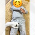 仰向けになったパパ→猫じゃらしを円を描くように振ると…可愛すぎる『…