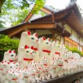 猫にゆかりのある『神社・お寺』8選　猫好きなら足を運びたくなる理由…
