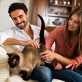 猫は『人間の性別』を見分けることができる？男女別に見る態度の違い…