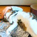 仰向けで床に寝ている女の子→ネコがお腹の上に乗ってきて…完全に『野…