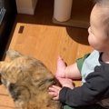 生まれたときから猫といっしょに育った赤ちゃん→猫のことが好きになってい…