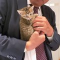 子猫たちを家族みんなで懸命に育てた1ヶ月間…『涙が出た』『なんて心…