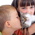 猫は子供にやさしいのはなぜ？不思議な関係