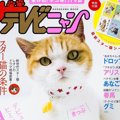 きっぷちゃんはどんな猫？これまでの活躍