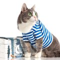 第2次世界大戦中、輸送艦に乗り組み「水兵」として大活躍した猫　戦後は「…