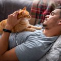 猫はどうして『人の身体』に登るの？4つの理由と気持ちに注意したいこ…