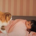 娘が疲れてベッドで休んでいたら、猫が来て…微笑ましすぎる『優しい行動』…