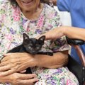 猫がしている『人助け』5選　病院、高齢者施設、学校…心の支えになっ…