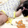 『寝ている赤ちゃんの様子』を見に行ったら、子猫が……ずっと見ていたくな…