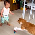 『1歳の息子』が猫じゃらしをもって『猫と遊ぼうとした』結果…あまりにも…