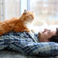 猫たちを幸せにしてくれる『生きがい』3つ　猫の心を躍らせる行為やも…