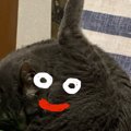 おしりを毛づくろいしていただけなのに→奇跡の擬態が生まれて…3万いい…