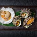 【獣医師監修】猫に貝を与えるのはNG！危険な理由や種類・成分から誤食時…
