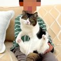 生まれて初めてネコとふれあう男の子→念願の『抱っこ』に挑戦してみる…