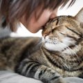 猫はなぜ『かわいい』？猫が人々を魅了する5つのポイント　赤ちゃんとの共…