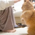 ママが爪切りをしていたら、優しい猫が……衝撃的すぎる『突然の行動』…