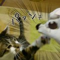 猫とネズミでおしょうがチュ♡愛猫と一緒に作る子年の年賀状