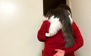 母から『抱っこできないよ』と言われた猫→諦めきれず…あまりにも『必…