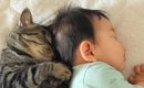 仲良くお昼寝中の『猫と赤ちゃん』→布団をめくってみたら…まさかの『…