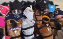 『猫がいなくなった』と大騒ぎしていた母→家族総出で探し始めて3時間……