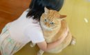 『大好きなんだってさ』女の子が猫のそばに行くと…素敵すぎる『愛情表…