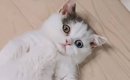 『ばぁば～見て！』と呼ばれて行ってみたら、猫が…お孫さんが思わず驚…